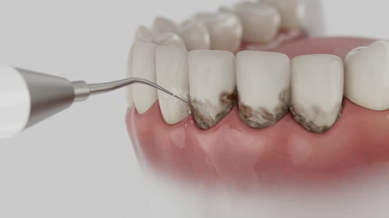 Reliable Dental contractor in Lyndhurst, VA by Dentist Open Now